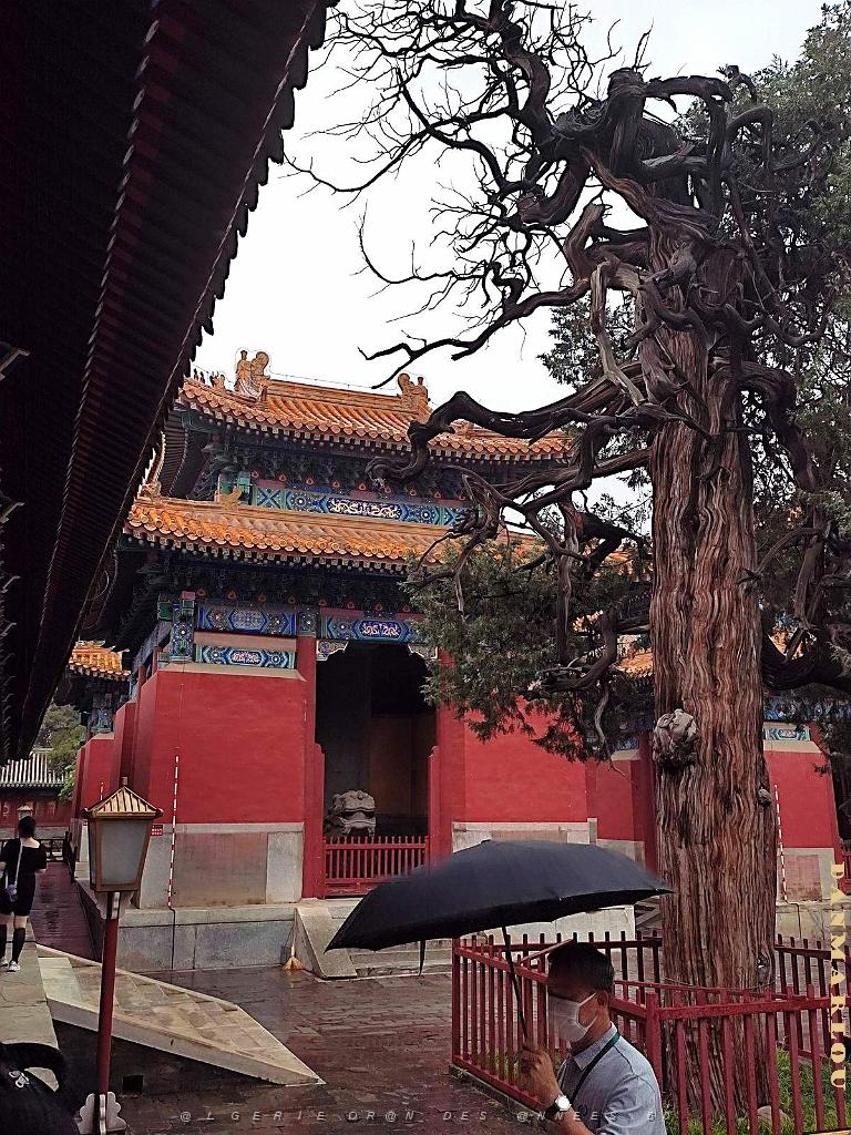 PEKIN-TEMPLE DE CONFUCIUS ACADEMIE IMPERIALE (8).jpg